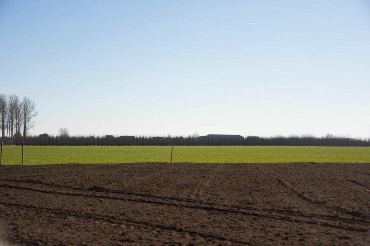 'Op De Borgt' Met Finse Grill Kota Villa Wellen Exterior photo